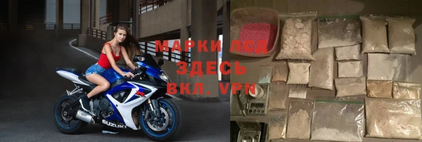 ПСИЛОЦИБИНОВЫЕ ГРИБЫ Гусев