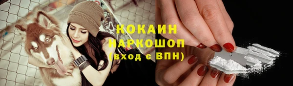 стаф Гусиноозёрск