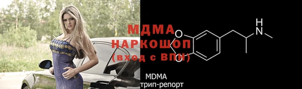ПСИЛОЦИБИНОВЫЕ ГРИБЫ Гусев