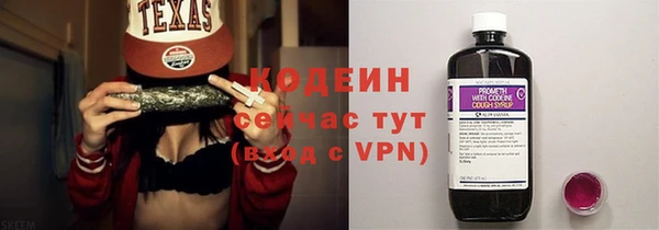 ПСИЛОЦИБИНОВЫЕ ГРИБЫ Гусев