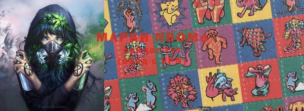 ПСИЛОЦИБИНОВЫЕ ГРИБЫ Гусев