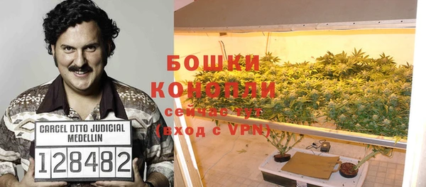 стаф Гусиноозёрск