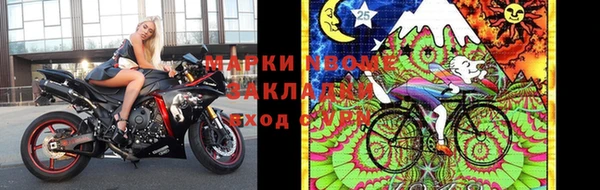 ПСИЛОЦИБИНОВЫЕ ГРИБЫ Гусев
