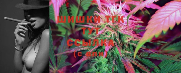 стаф Гусиноозёрск
