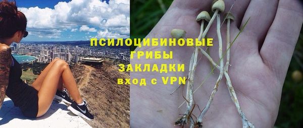 jwh Гусь-Хрустальный