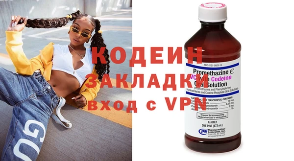 ПСИЛОЦИБИНОВЫЕ ГРИБЫ Гусев