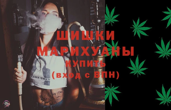 ПСИЛОЦИБИНОВЫЕ ГРИБЫ Гусев
